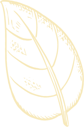 Forma decorativa de hoja